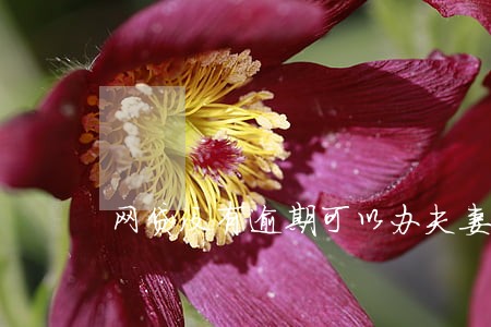 网贷没有逾期可以办夫妻贷吗 网贷没有逾期可以办夫妻贷吗