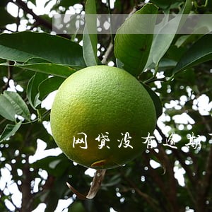 网贷没有逾期可以办车贷嘛 网贷没有逾期可以办车贷嘛