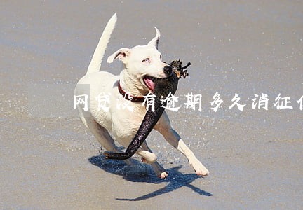 网贷没有逾期多久消征信 网贷没有逾期多久消征信