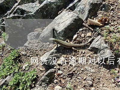 网贷没有逾期对以后有什么影响 网贷没有逾期对以后有什么影响
