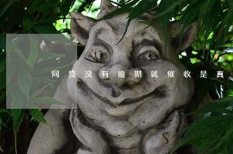 网贷没有逾期就催收是真的吗 网贷没有逾期就催收是真的吗