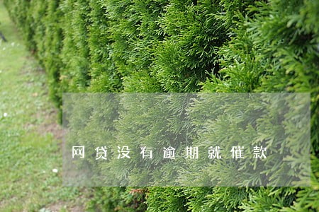 网贷没有逾期就催款 网贷没有逾期就催款