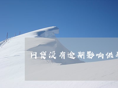 网贷没有逾期影响供车