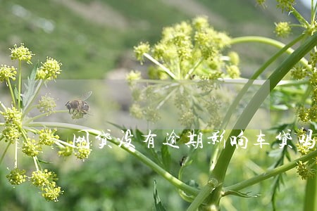 网贷没有逾期影响车贷吗 网贷没有逾期影响车贷吗