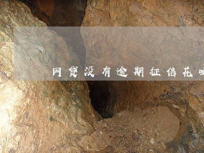 网贷没有逾期征信花吗 网贷没有逾期征信花吗