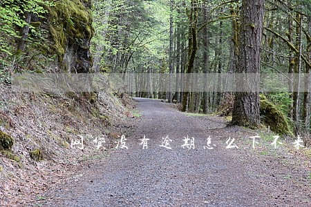 网贷没有逾期怎么下不来 网贷没有逾期怎么下不来