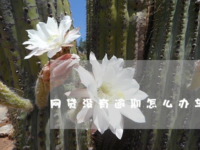 网贷没有逾期怎么办车贷 网贷没有逾期怎么办车贷