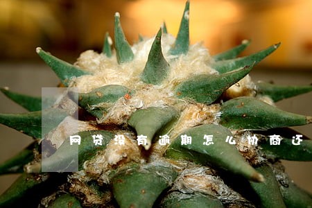网贷没有逾期怎么协商还款 网贷没有逾期怎么协商还款