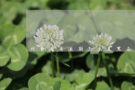 网贷没有逾期怎么是黑名单