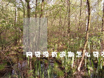 网贷没有逾期怎么贷不了 网贷没有逾期怎么贷不了