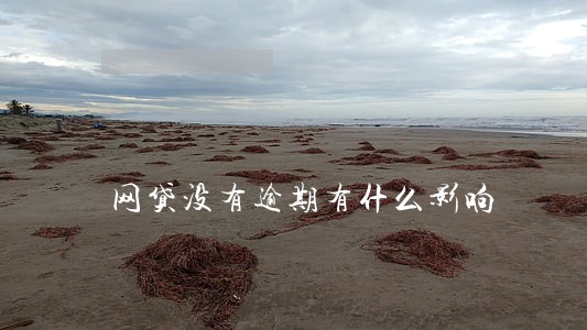 网贷没有逾期有什么影响 网贷没有逾期有什么影响