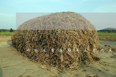 网贷没有逾期有没有污点 网贷没有逾期有没有污点