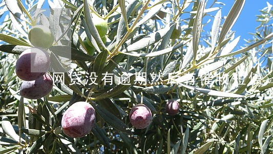 网贷没有逾期然后有催收短信 网贷没有逾期然后有催收短信