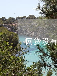网贷没有逾期能下信用卡吗
