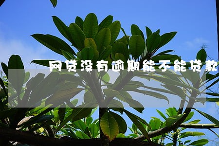 网贷没有逾期能不能贷款买车 网贷没有逾期能不能贷款买车