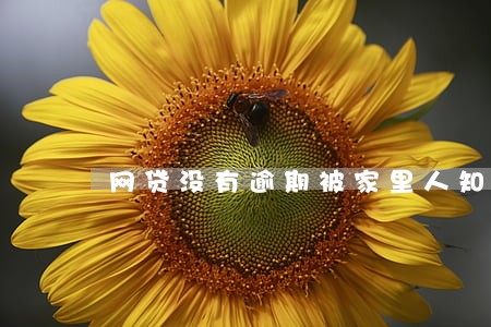 网贷没有逾期被家里人知道了 网贷没有逾期被家里人知道了