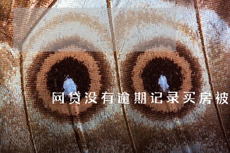 网贷没有逾期记录买房被拒绝