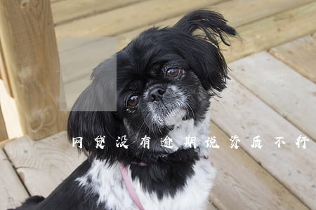 网贷没有逾期说资质不行 网贷没有逾期说资质不行