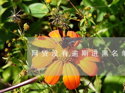 网贷没有逾期进黑名单 网贷没有逾期进黑名单