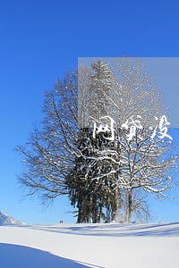 网贷没有逾期银行能贷到款吗 网贷没有逾期银行能贷到款吗