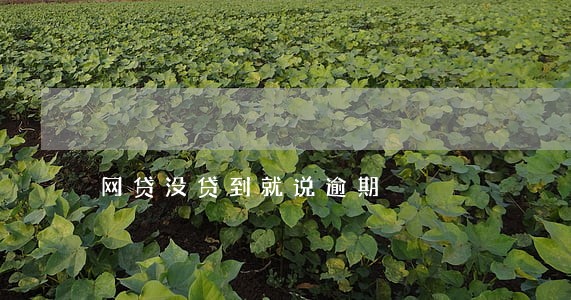 网贷没贷到就说逾期 网贷没贷到就说逾期