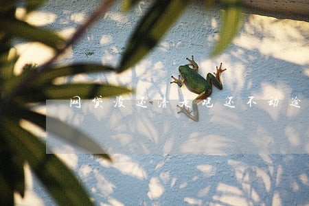 网贷没还清是吧还不动逾期