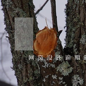 网贷没还逾期的经历 网贷没还逾期的经历