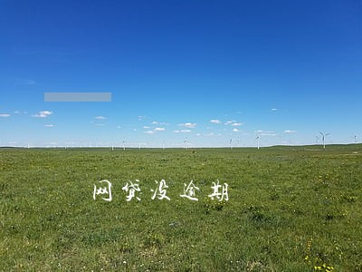网贷没逾期 网贷没逾期