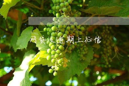 网贷没逾期上征信 网贷没逾期上征信