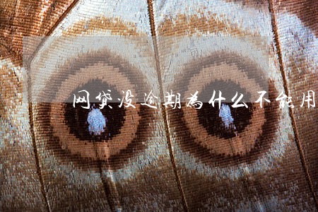 网贷没逾期为什么不能用 网贷没逾期为什么不能用