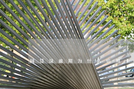 网贷没逾期为什么信用卡申请不了 网贷没逾期为什么信用卡申请不了