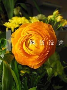 网贷没逾期为什么老被拒绝 网贷没逾期为什么老被拒绝