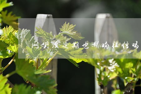 网贷没逾期也影响征信吗 网贷没逾期也影响征信吗