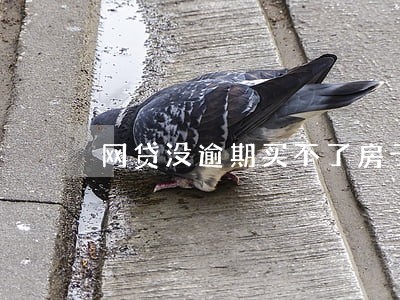 网贷没逾期买不了房子 网贷没逾期买不了房子