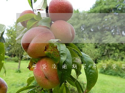 网贷没逾期买房可贷款吗 网贷没逾期买房可贷款吗