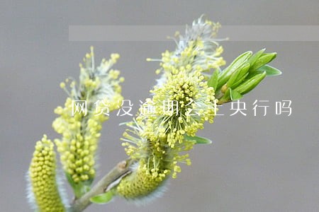 网贷没逾期会上央行吗 网贷没逾期会上央行吗