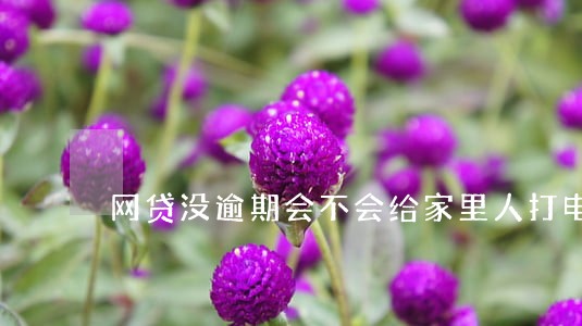 网贷没逾期会不会给家里人打电话