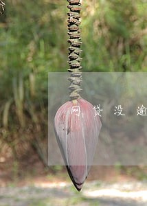网贷没逾期会影响工作吗 网贷没逾期会影响工作吗