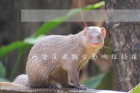 网贷没逾期会影响征信报告吗 网贷没逾期会影响征信报告吗