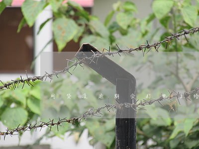 网贷没逾期会打电话给好友吗 网贷没逾期会打电话给好友吗