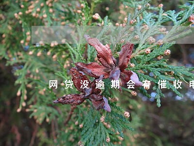 网贷没逾期会有催收电话吗 网贷没逾期会有催收电话吗