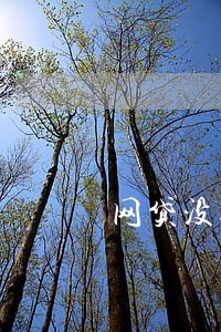 网贷没逾期会涨利息吗 网贷没逾期会涨利息吗
