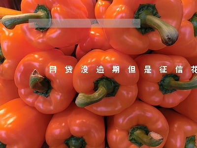网贷没逾期但是征信花 网贷没逾期但是征信花
