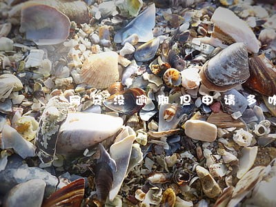 网贷没逾期但申请多咋恢复 网贷没逾期但申请多咋恢复