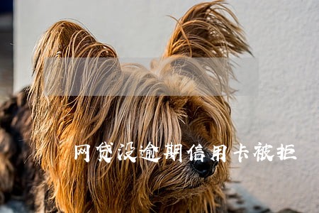网贷没逾期信用卡被拒