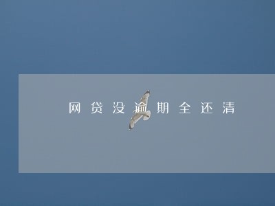 网贷没逾期全还清 网贷没逾期全还清