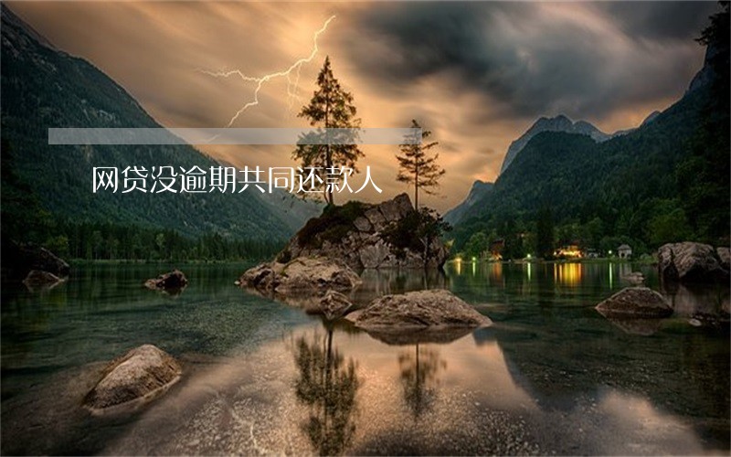 网贷没逾期共同还款人 网贷没逾期共同还款人