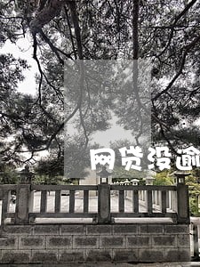 网贷没逾期农行装修贷被拒了 网贷没逾期农行装修贷被拒了