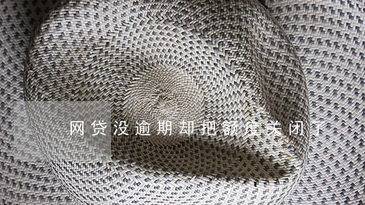 网贷没逾期却把额度关闭了 网贷没逾期却把额度关闭了