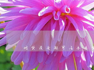 网贷没逾期可以办房贷吧 网贷没逾期可以办房贷吧